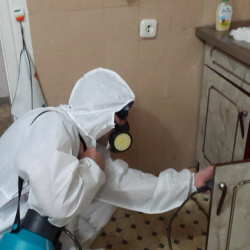 Дезинфекция от муравьев в квартире Новые Черёмушки метро Москвы