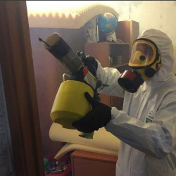 Уничтожение клопов в квартире. Новые Черёмушки